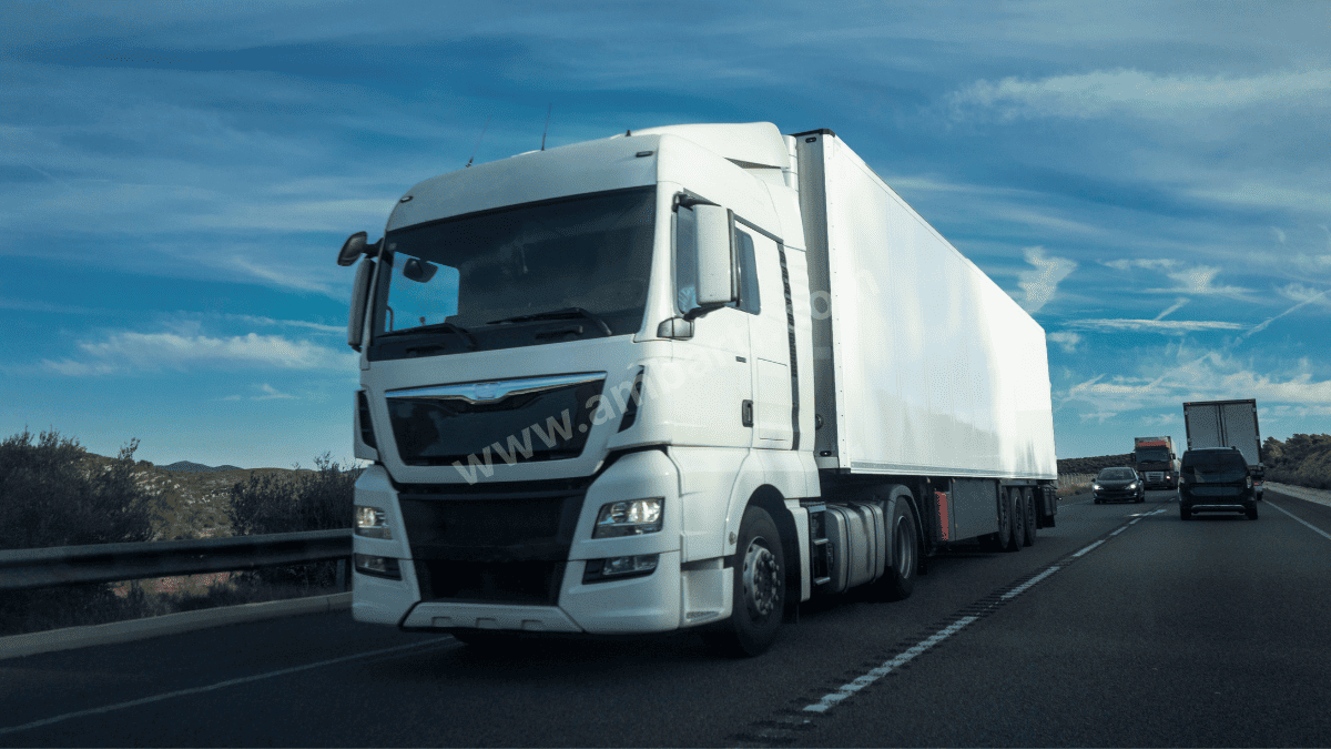 Milas Şehirler Arası Taşıma